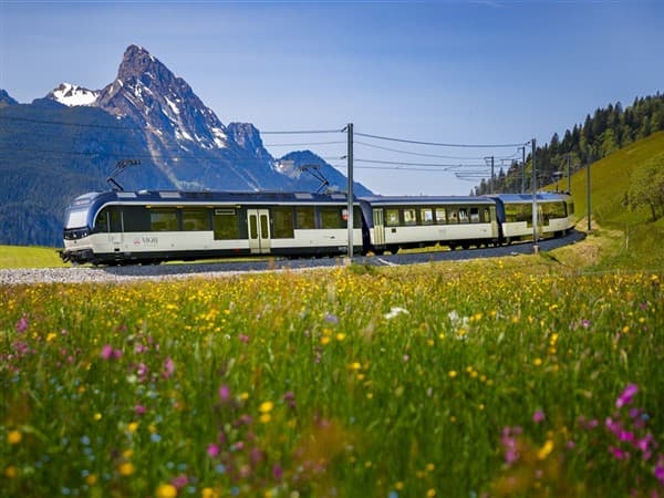 Golden Pass Train