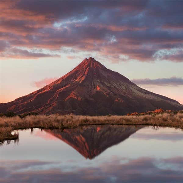 New Zealand & Aus